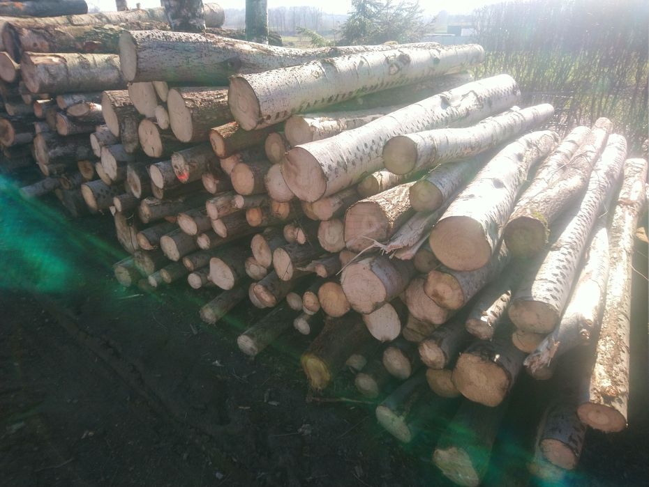 Drewno kominkowe - SOSNA, OSIKA, brzoza, dąb, drzewo opalowe, - m3