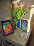Ipad 6 mini 256 gb wi-fi version