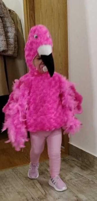 Fato carnaval Flamingo