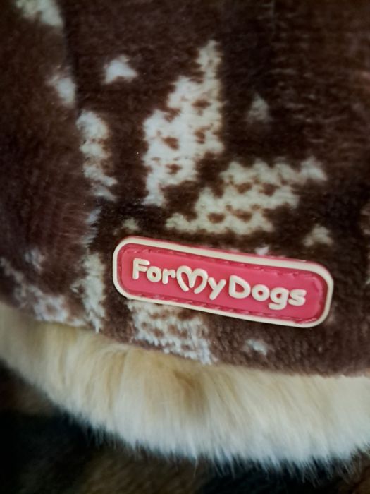 Одежда для собак