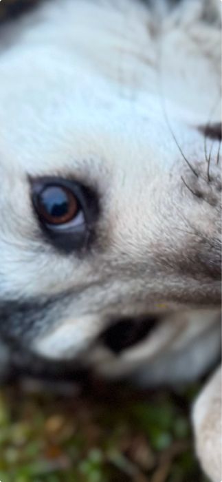 Прилаштовується малеча в надійні ручки