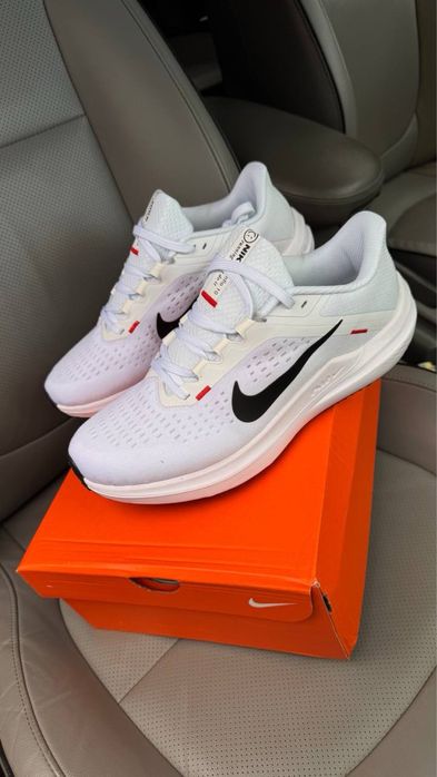 Кросівки Nike air Winflo 10