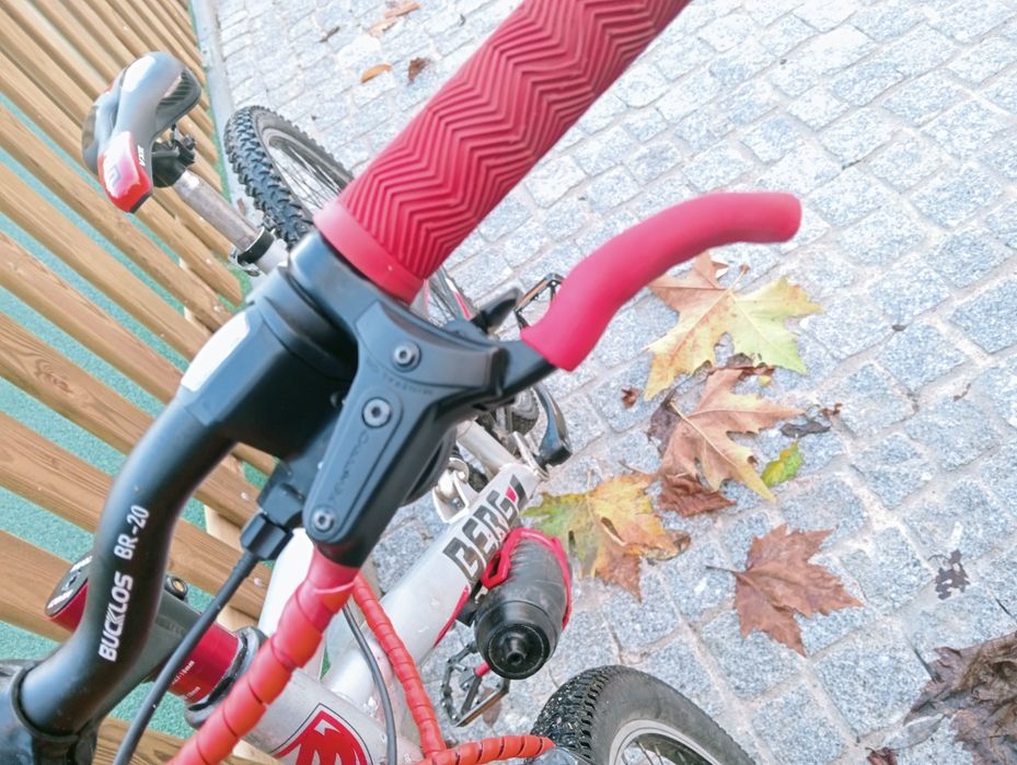 Bicicleta Berg sportcross aceito trocas