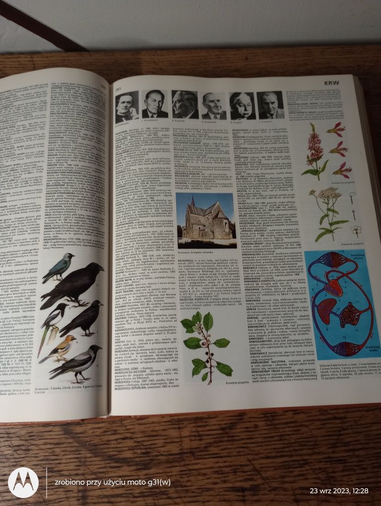 Encyklopedia Popularna PWN. Wydanie ósme.