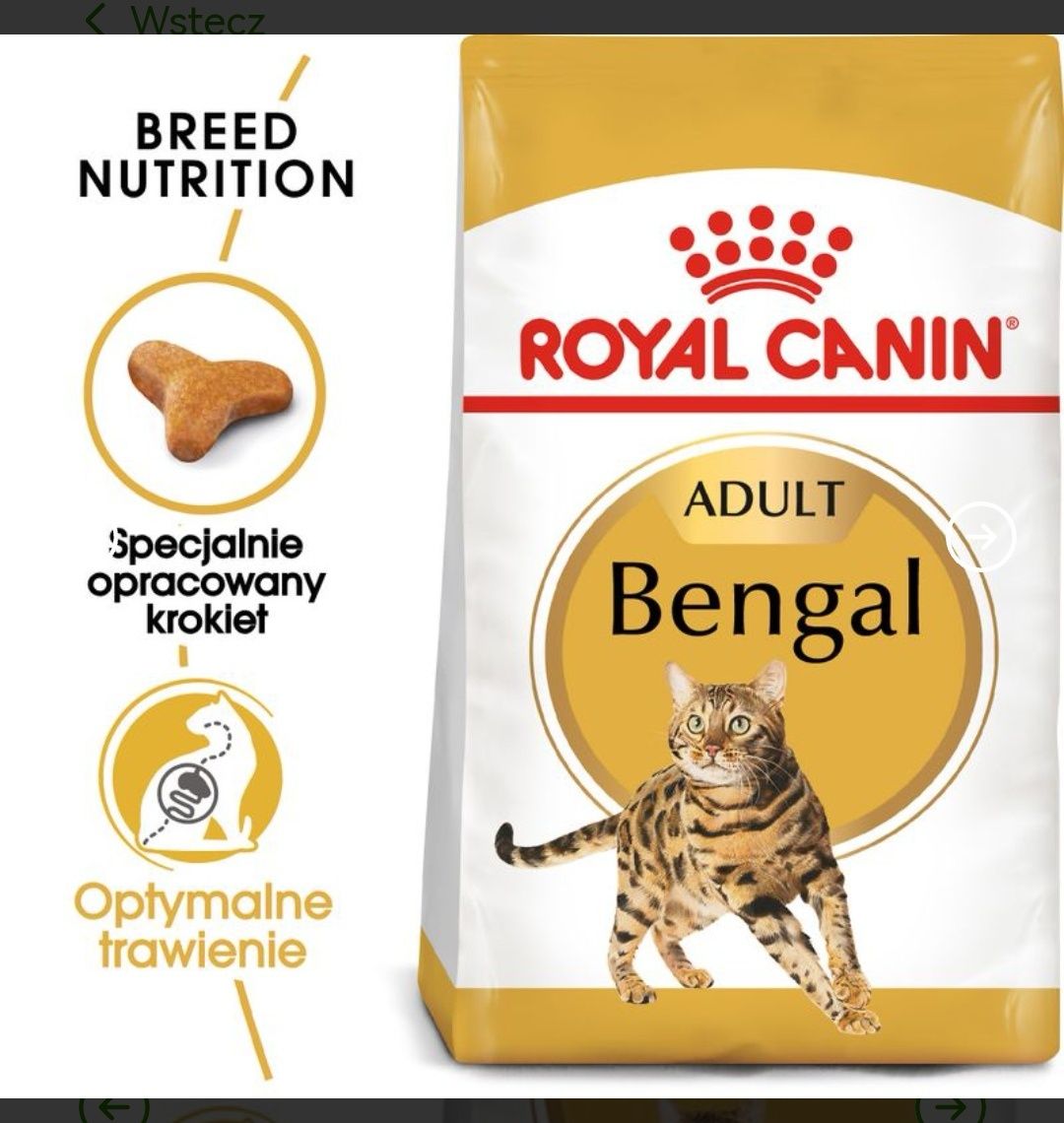 Royal canin adult Bengal