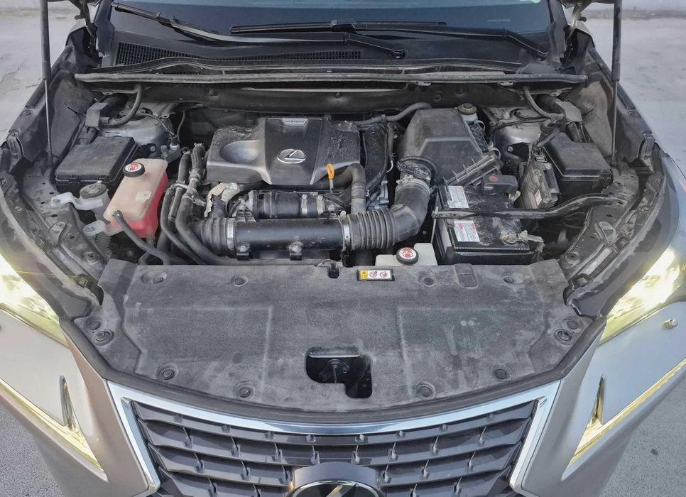 Lexus NX 300 Elegance Optimum AWD 2019 2.0