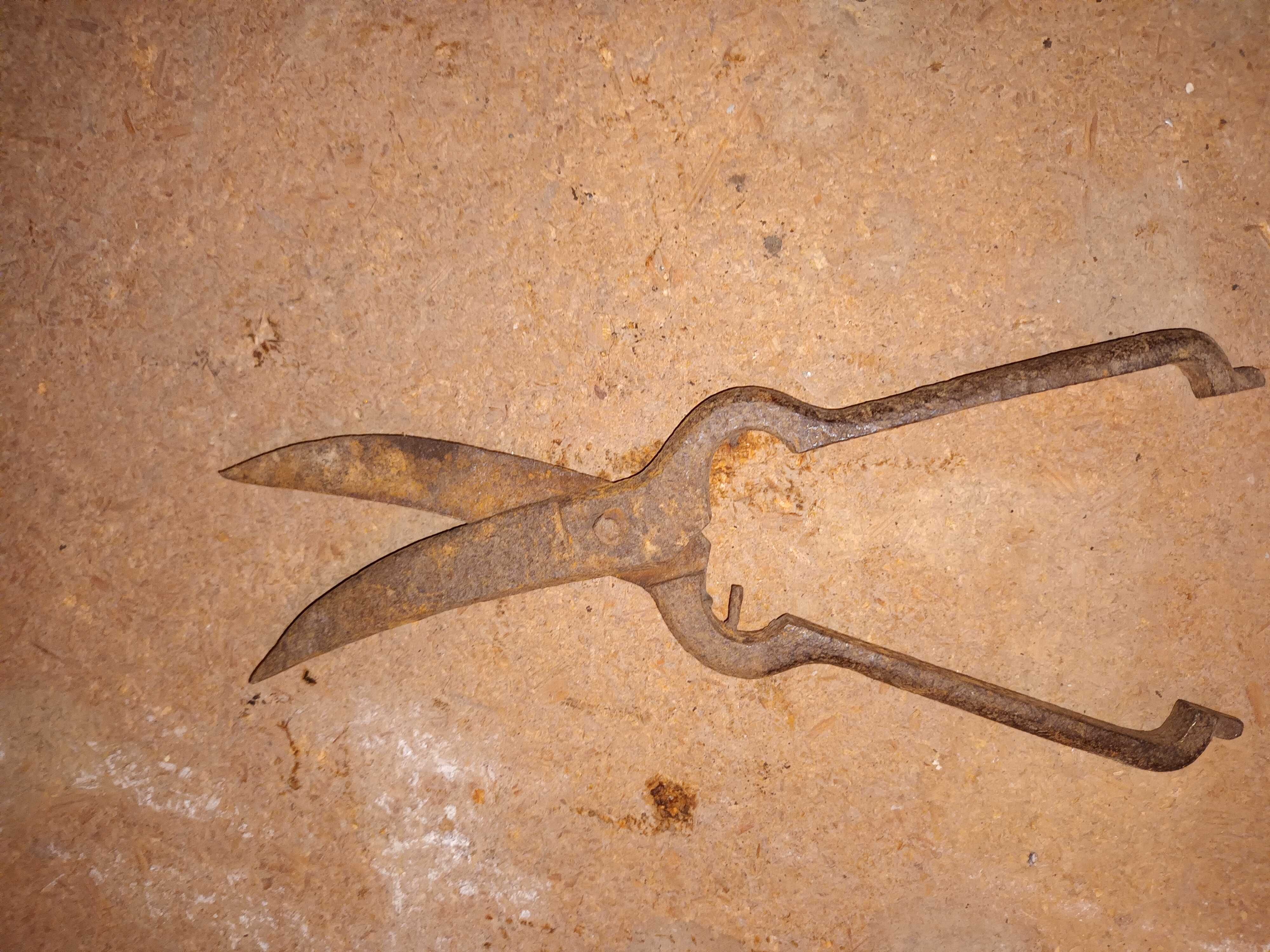 Stary sekator (nożyce)