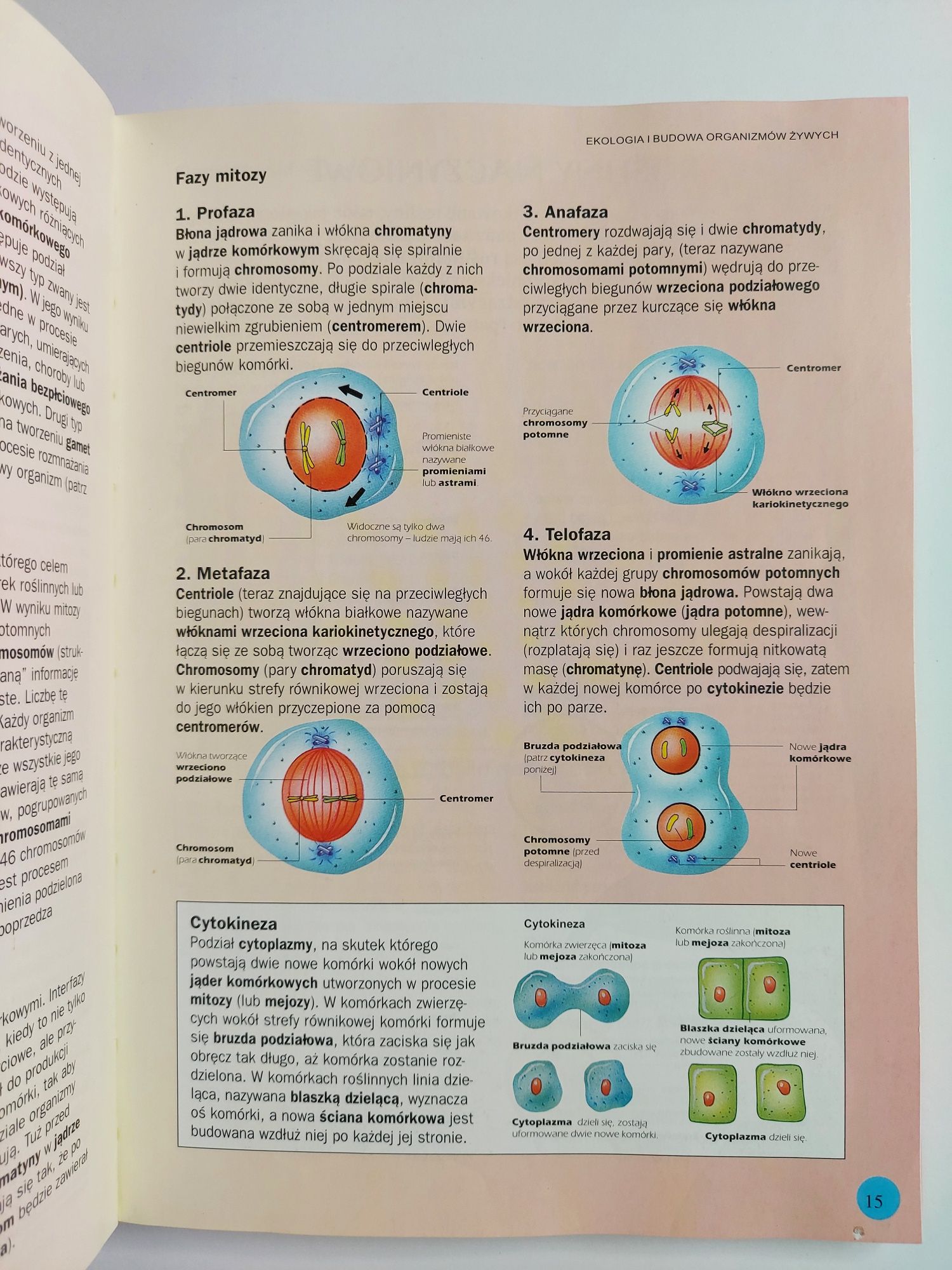 Biologia - Ilustrowany słownik