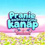 Pranie sof, kanap, foteli, krzeseł, materacy. Czyszczenie aut.