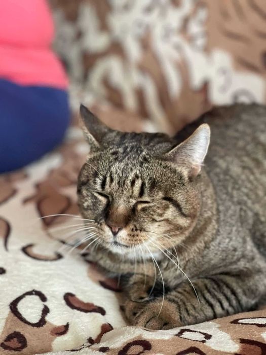 Benio grzeje kolanka