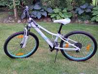 Rower Giant Liv 24 "