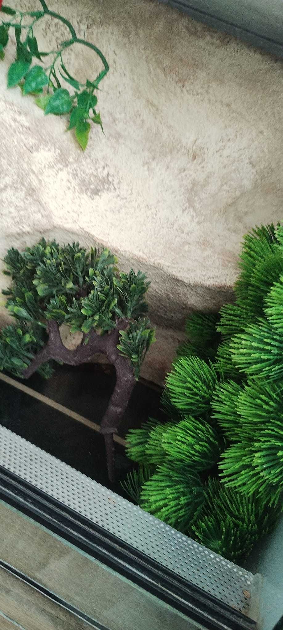 Terrarium dla gekona/węża