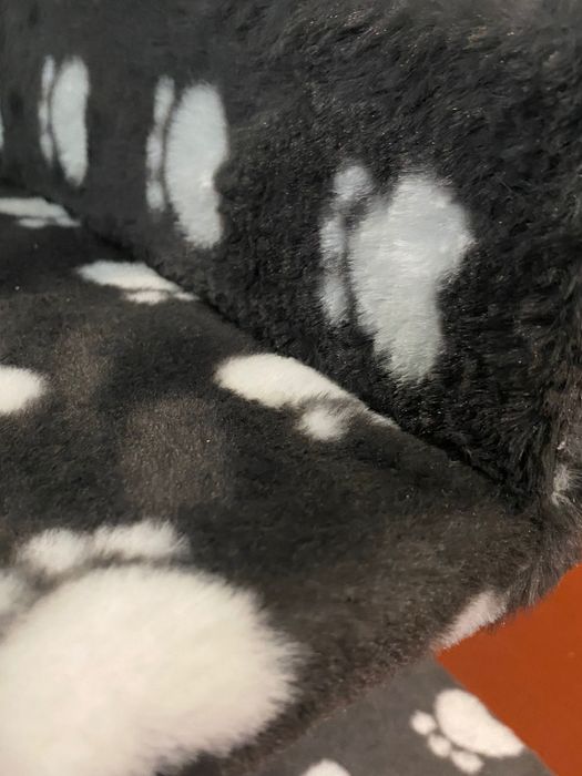 Лежак із кігтеточкою для кота, стан нового