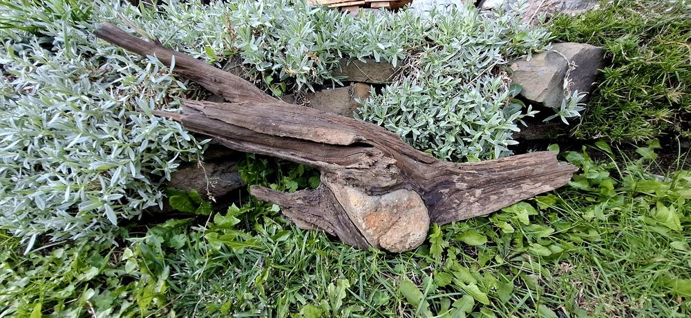 Piękny korzeń z kamieniem do akwarium terrarium