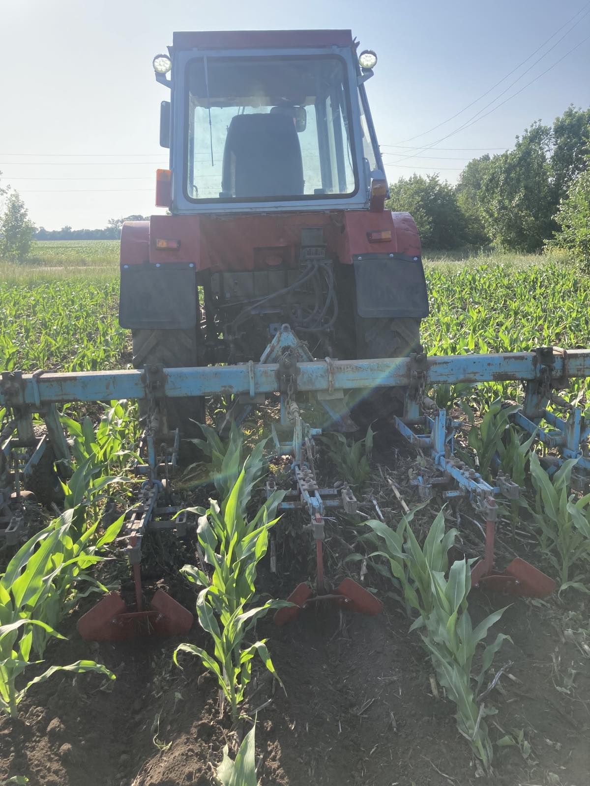 Продам ЮМЗ 8040, 2003 року, в полі не був