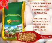 Karma NIOSKA WALCOWANA Pasza dla kur niosek 10kg FARMER
