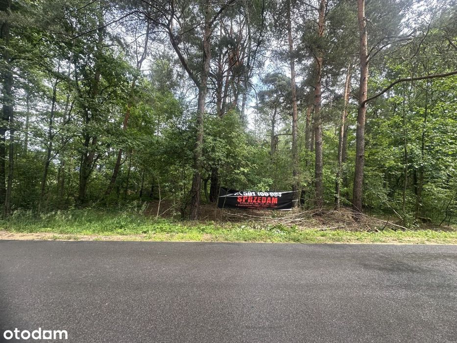 sprzedam 3 działki rolne Choiny k/Poświętnego