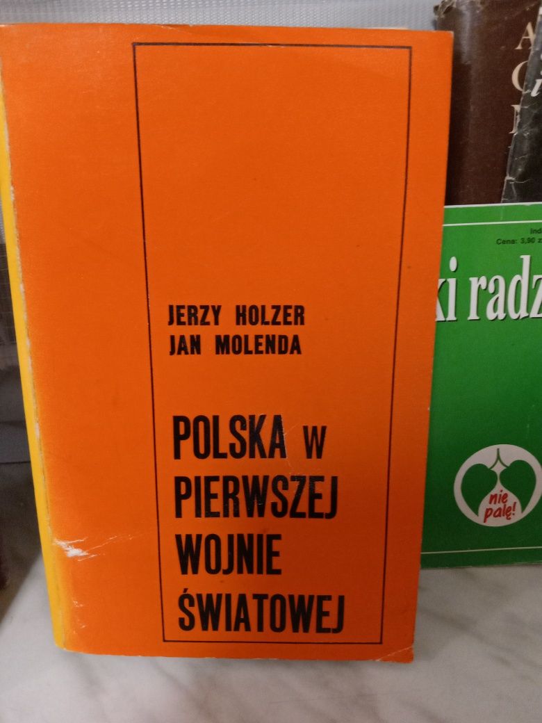 Polska w Pierwszej Wojnie Światowej , Jerzy Holzer.