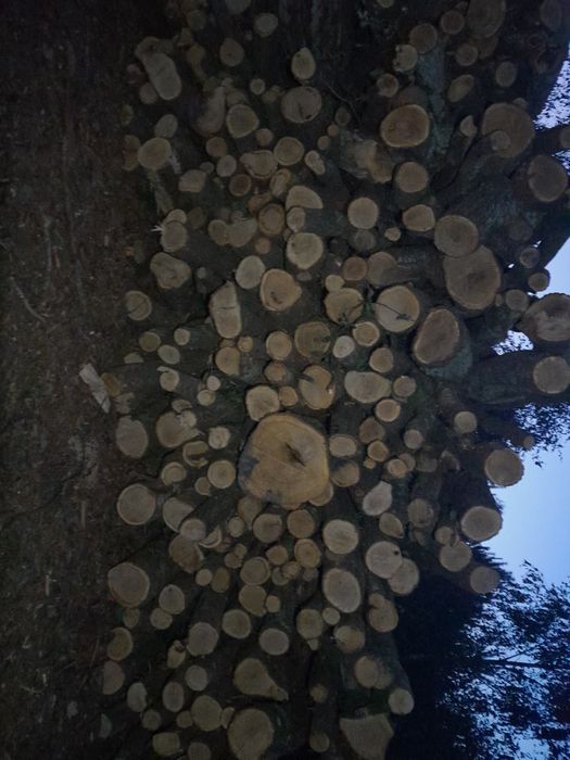 Drewno opałowe od 170zl za 1mp