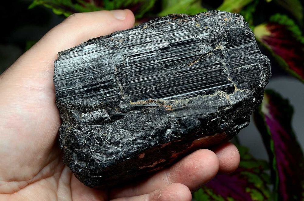 CZARNY TURMALIN naturalny - Kamień Ochrony - 600 g - ZAMBIA - OLT2