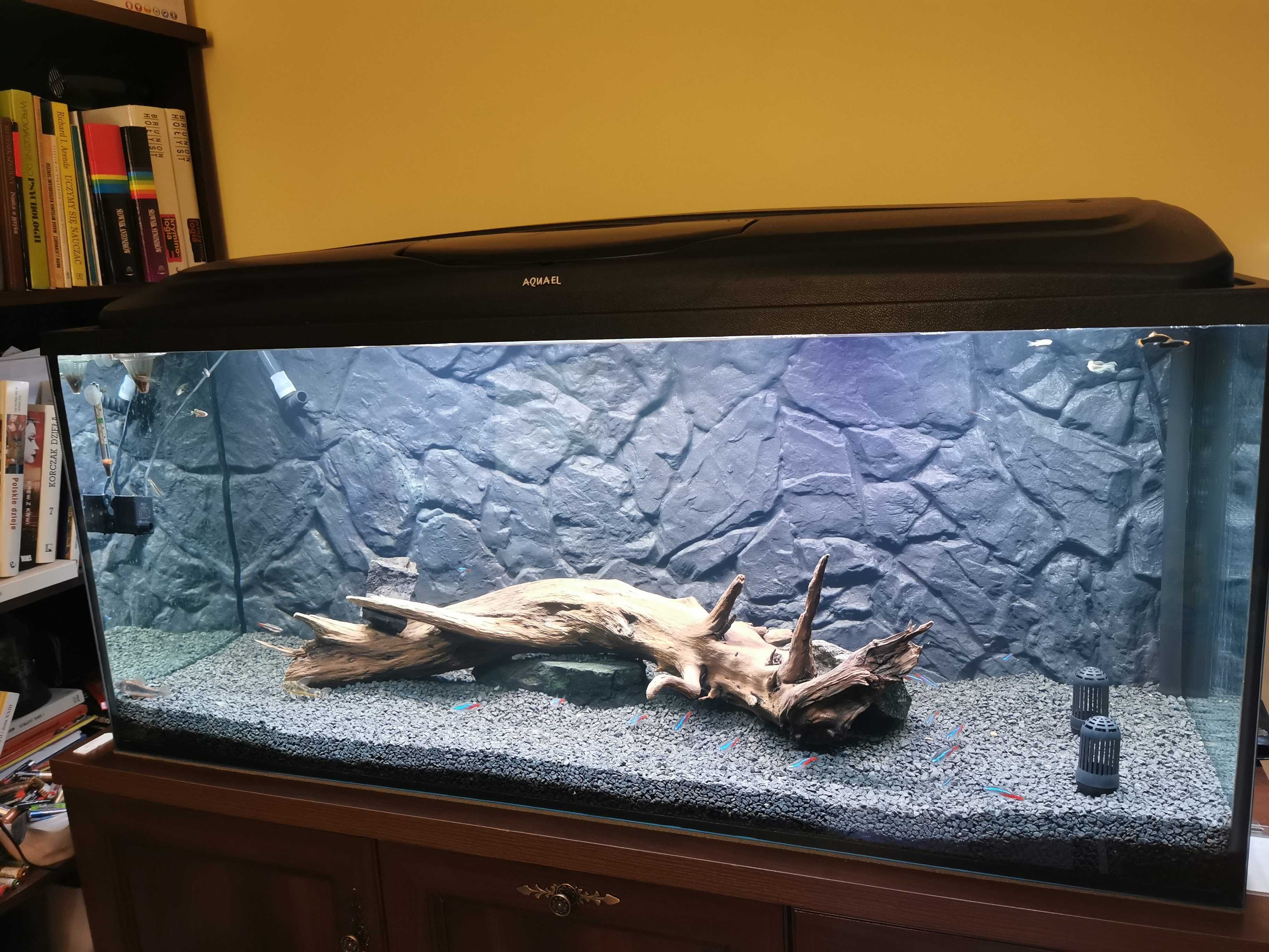 Akwarium 240L | rozmiar 120x40x50 + pokrywa + oświetlenie + tło 3D