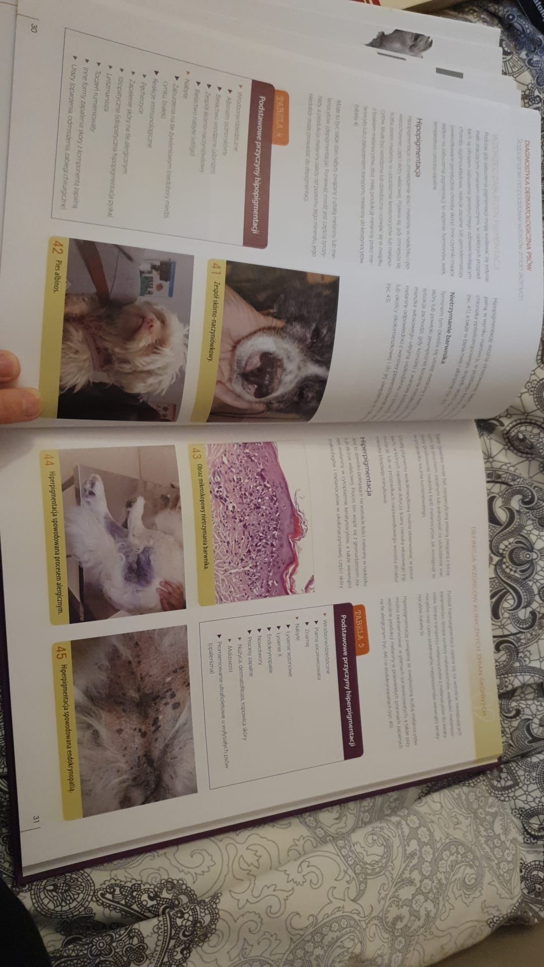 Książka Diagnostyka Dermatologiczna psów
