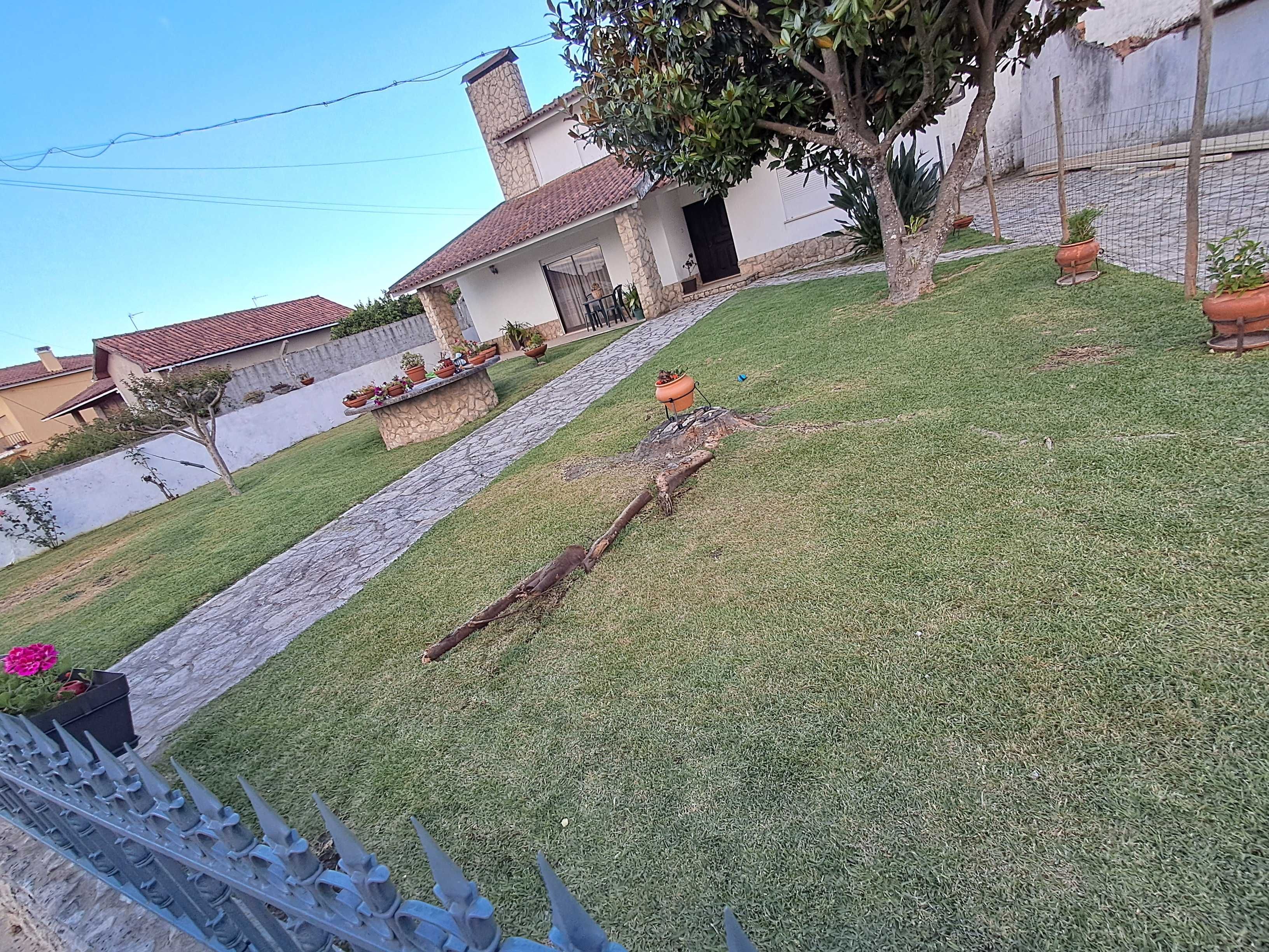 jardinagem/limpeza de terrenos/limpezas domésticas...