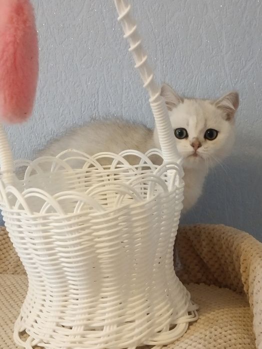 Красивіше не буває