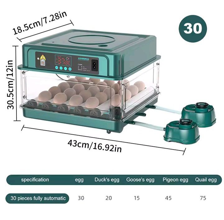 Chocadeira automática até 30 ovos