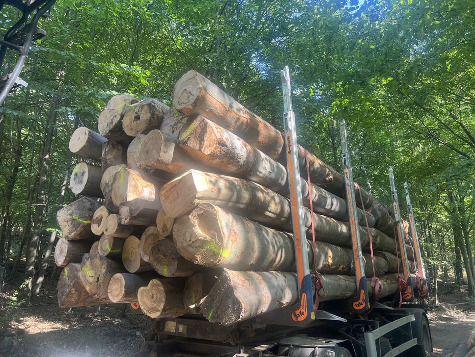 Drewno bukowe - opałowe