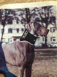 Ветеринарный шейный ортез для собак BALTO