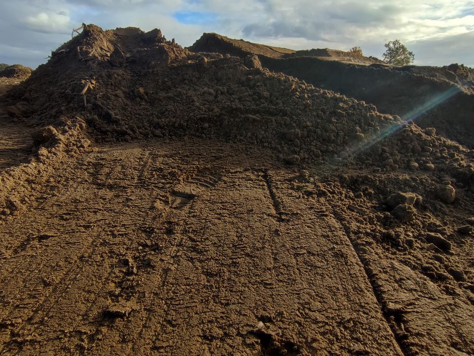 Ziemia ogrodowa pod trawnik