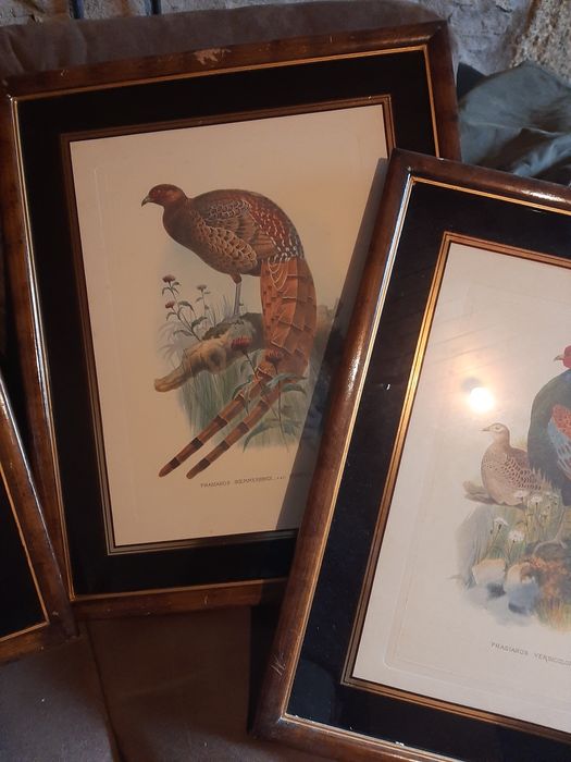 Quadros varios antigos