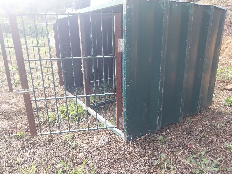 Abrigo para animais