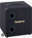 Subwoofer Roland KCW-1