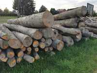 Drewno opałowe Buk, Dąb, jesion, grab, brzoza i inne