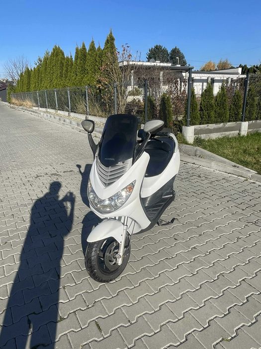Peugot elystar/elyseo/speedfight 50cc DUŻY SKUTER