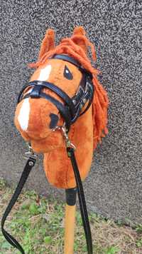 Hobby horse rudy