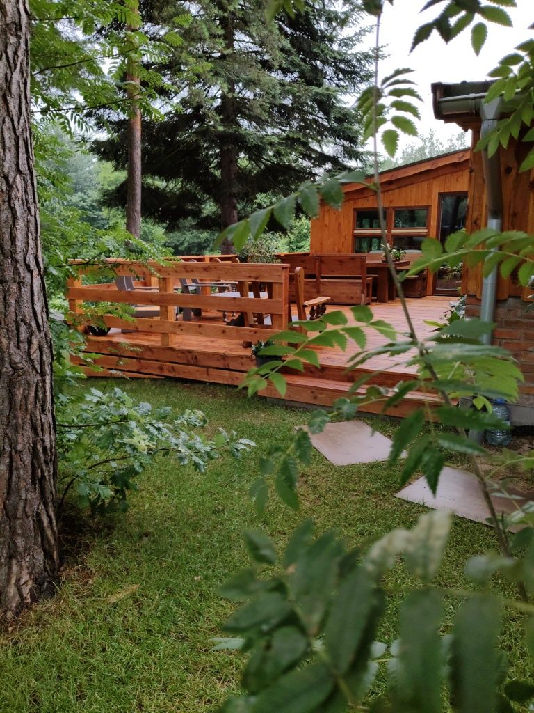 Wieczory panienskie, kawalerskie,Imprezy okolicznościowe, Śluby w ple