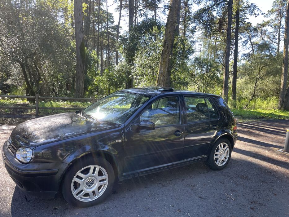 Golf 4.  1.6 anda bem, a gasolina.