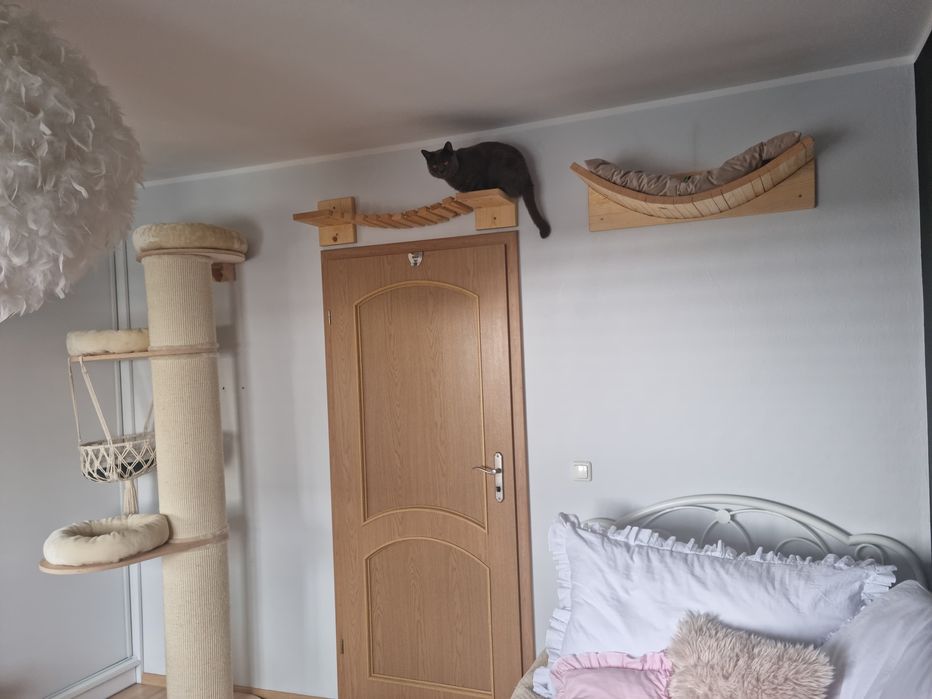 Kociostrada - mostek i półka dla kota