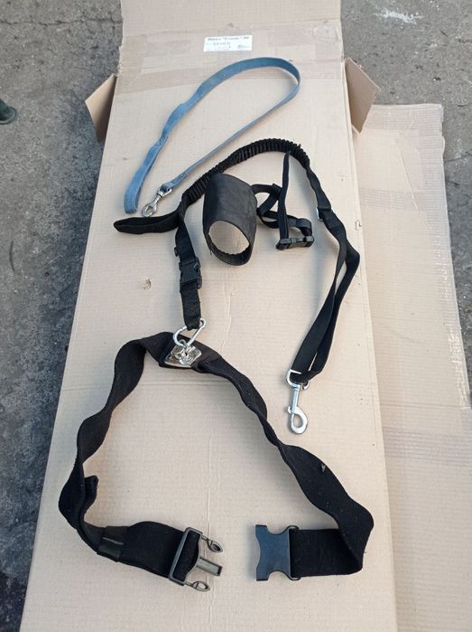 Поводок/сбруя/намордник