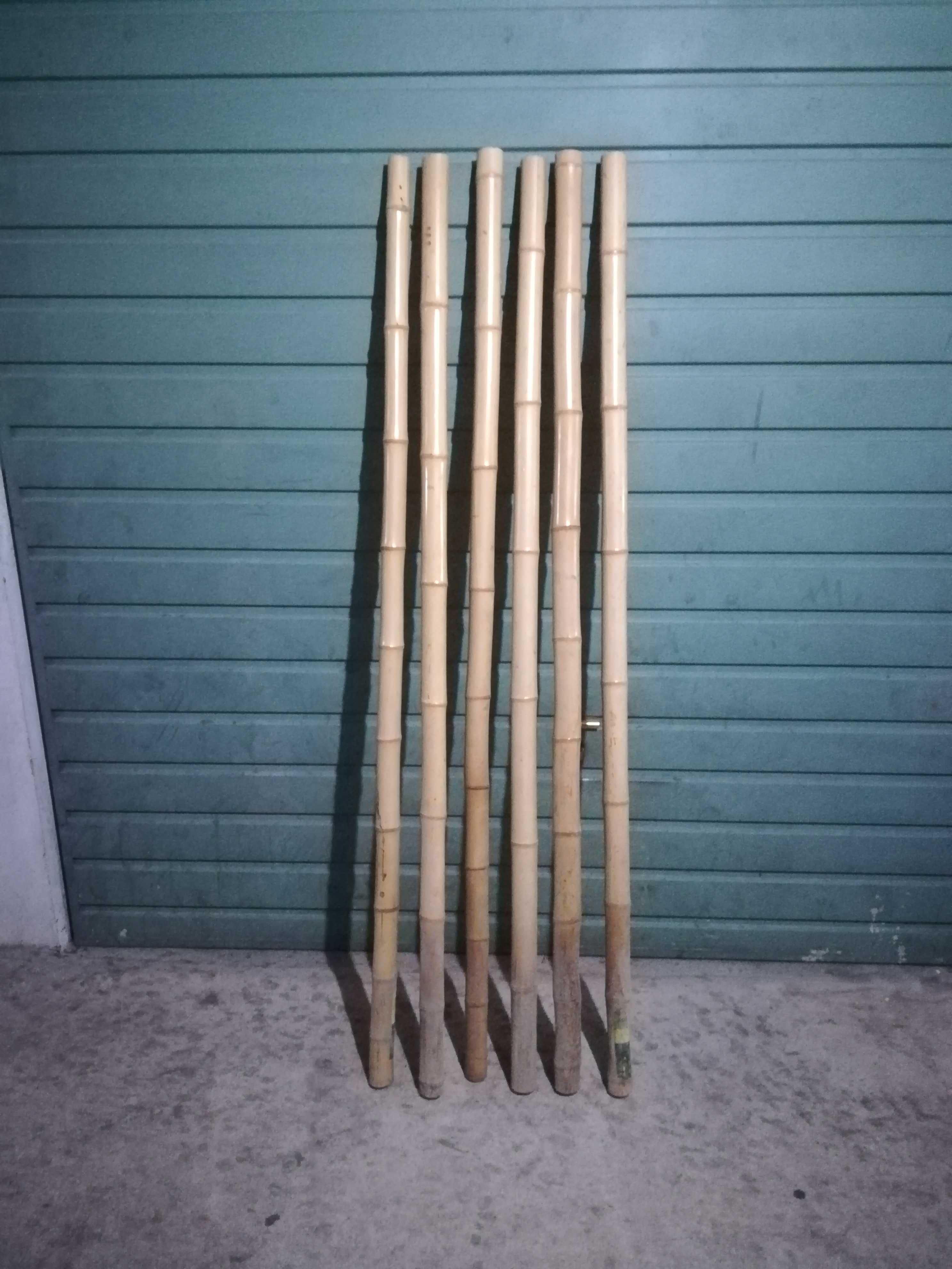 Canas de bambú para desocupar.