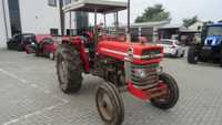 Massey Ferguson 165 sprowadzony