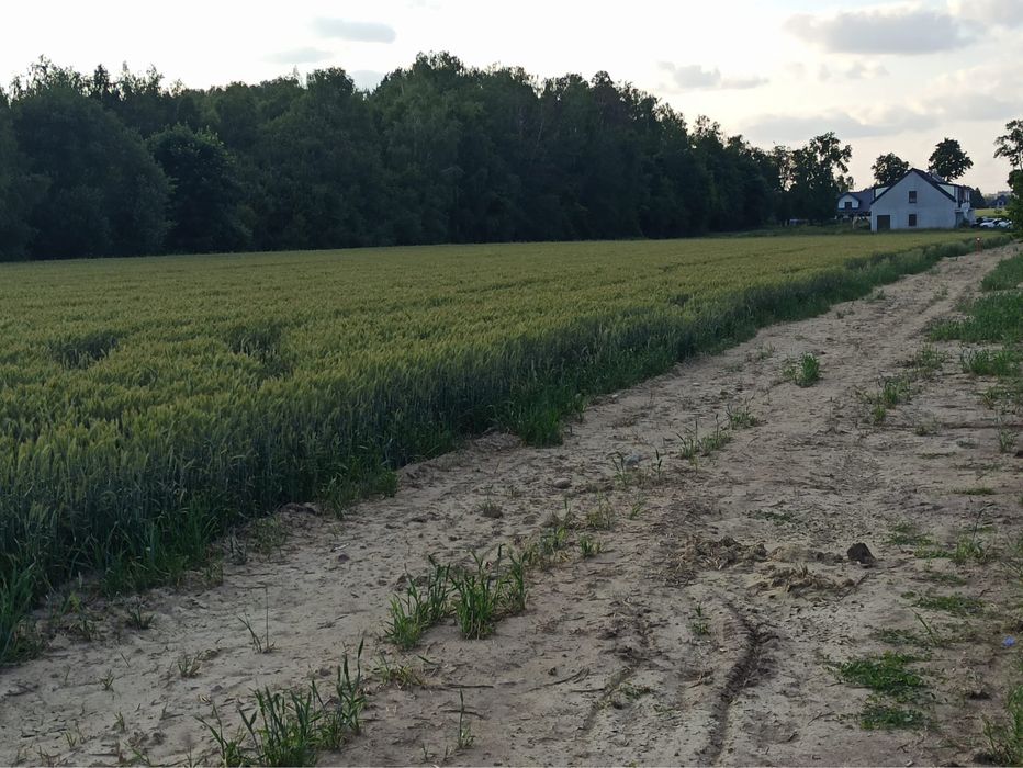 Działki budowlane w Zawadach