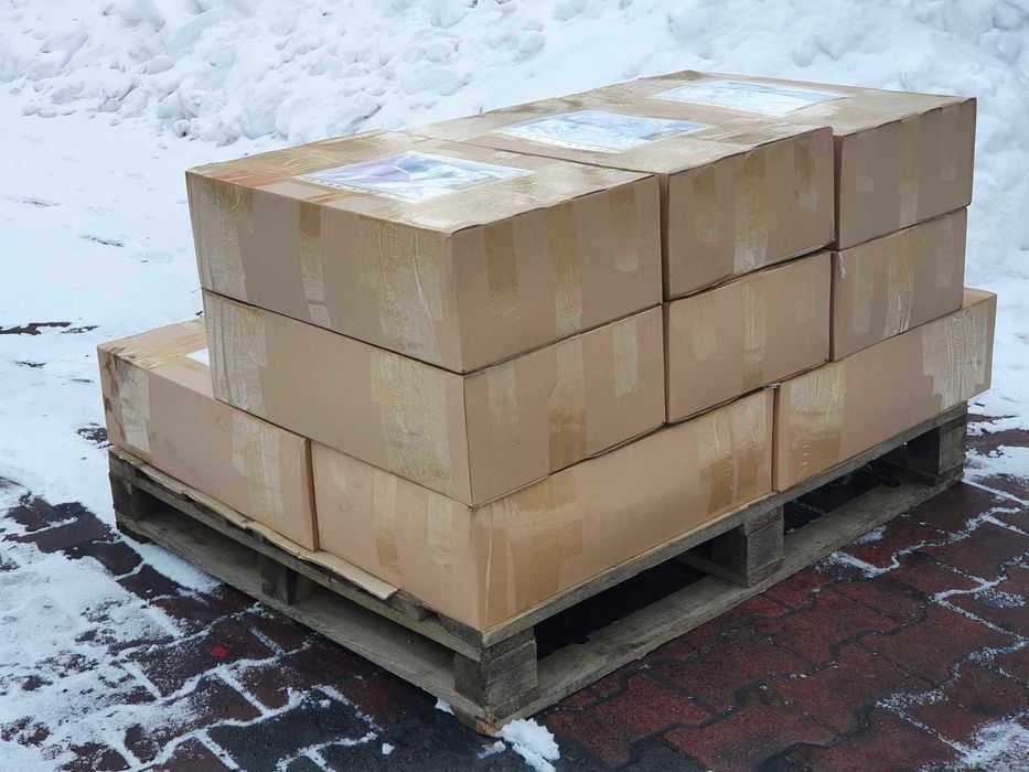 SŁONECZNIK ziarno słonecznika dla ptaków nasiona w łupinie dostawa DHL