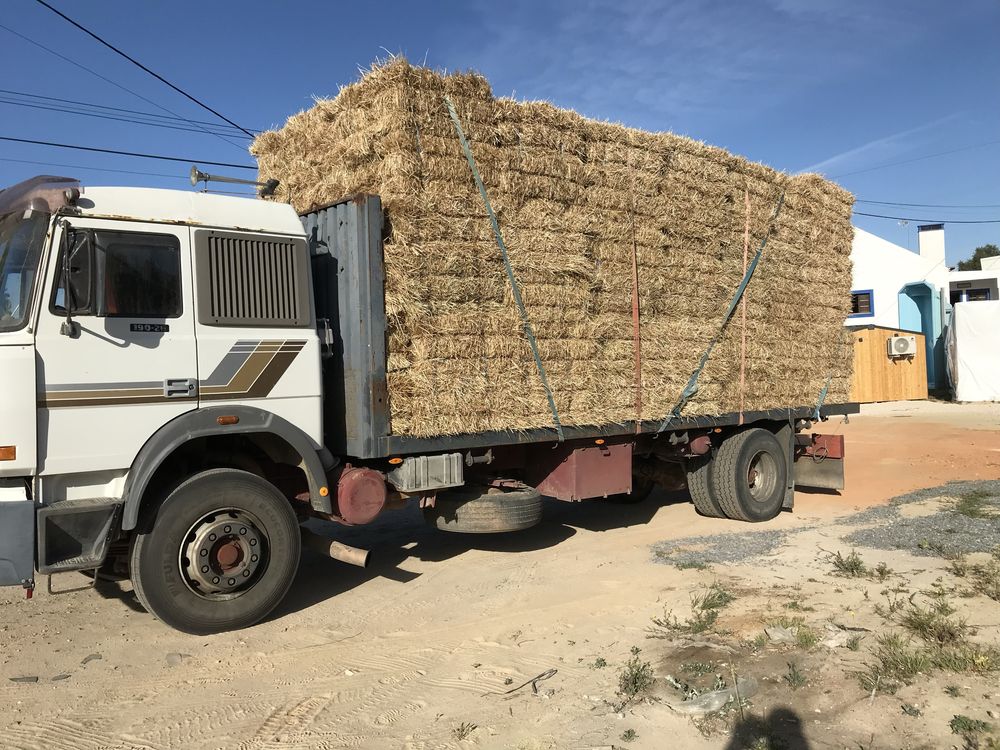 Camiao de 19 toneladas a trabalhar bem