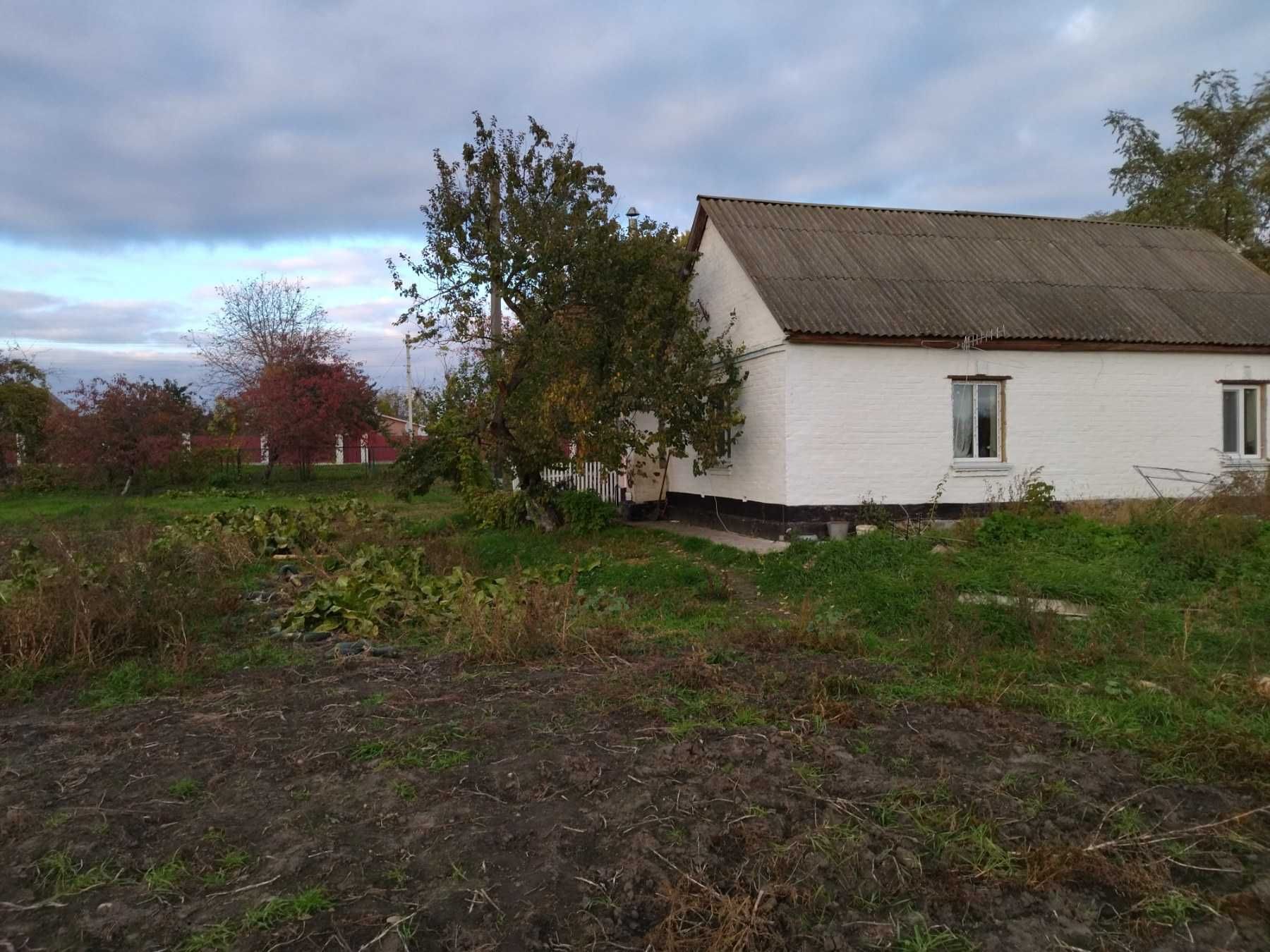 Обміняю Будинок на квартиру в Києві