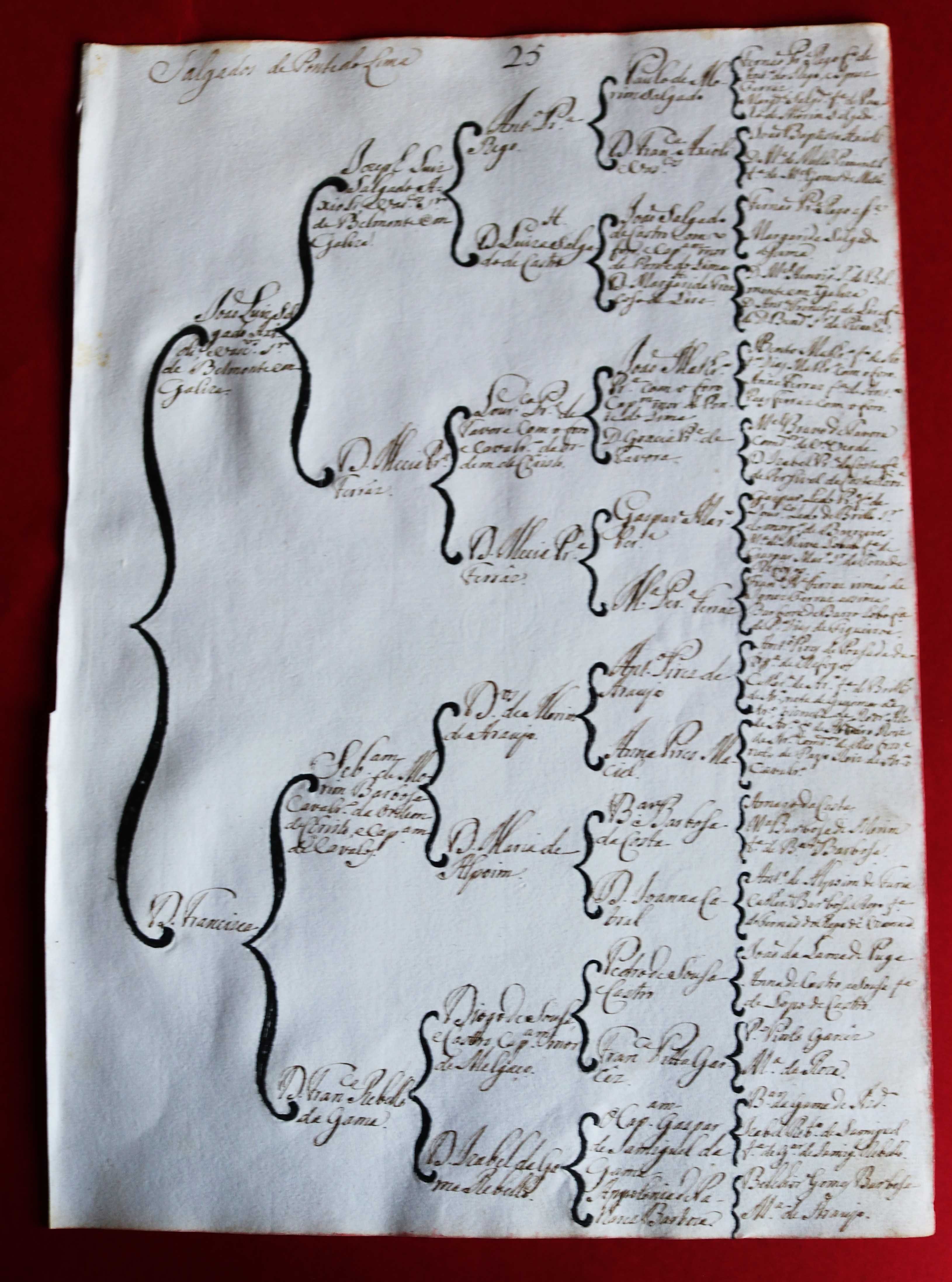 Os Salgados de Ponte de Lima, árvore de costados 1746