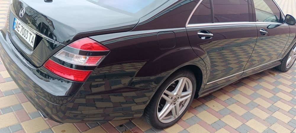 Без жодного підкрасу, один с живих мурчиків на самому правильному двиг